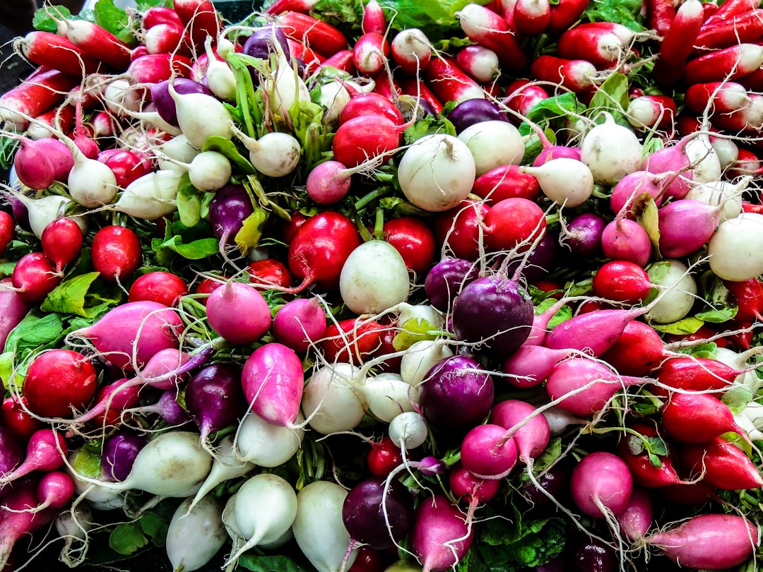 The Versatile Berenjena: A Guide to Cooking with Eggplant
